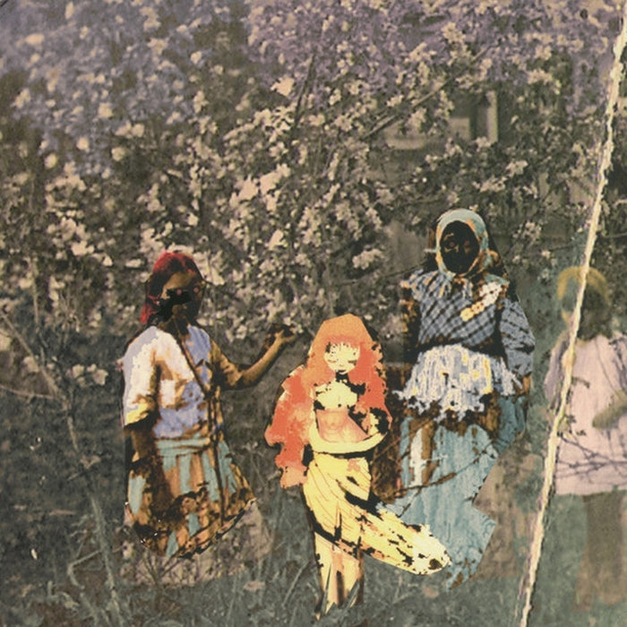 Paavoharju – Laulu Laakson Kukista (VG+/VG+)